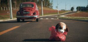 Pelúcia de cachorro sendo deixada em ambiente externo, simulando abandono para um vídeo.